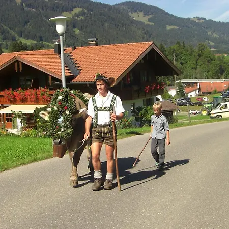 Vogler Fischen im Allgaeu